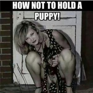 Meet your Posher, Ashley